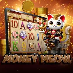 jdbyg money meow